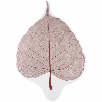 Пленка матовая 