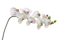 8J-1219S0003 Орхидея белая 85 см (12)_6500049