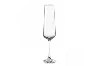 EPIC фужер для шампанского 200 мл (2 шт),  Repast Чехия 65935_9709358