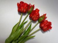 Цветок искуственный Тюльпаны бахромчатые, букет 5шт. (красный)
