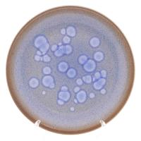 Benedikt Coral Набор тарелок 6/18 (19,24,28см)  Чехия Benedikt Coral Набор тарелок 6/18 (19,24,28см)  Чехия