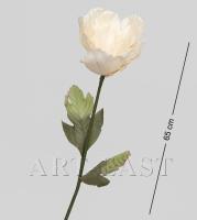 TR 408 Пион_7801878 TR 408 Пион_7801878