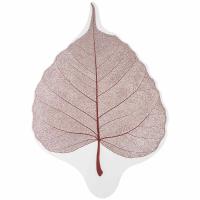 Пленка матовая 