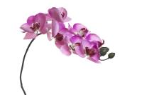 8J-1219S0004 Орхидея розовая 85 см (12)_6500050