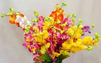 АС75 Цветок ветка Орхидеи В-65см_9300462