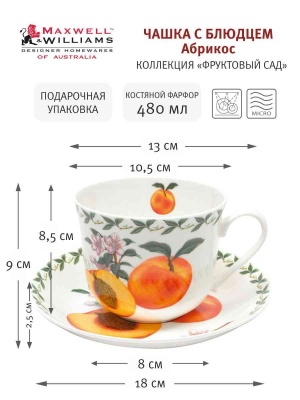 Чашка с блюдцем 0.48л 