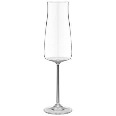 EXCLUSIVE фужер для шампанского 210 мл (2 шт),  Repast Чехия 65964_9709363