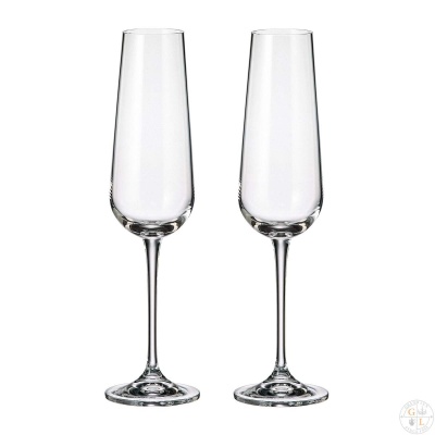 Набор бокалов для шампанского Amudsen 220 мл (2 шт),Crystalite Bohemia 43992_9707433